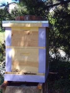 From the outside, you can tell these bees are being fed because the inner cover is visible as a thin strip of wood between the two boxes.