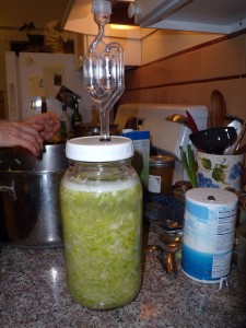 The airlock lid will let the cabbage gases escape, but keep bacteria from getting into the jar over the course of the fermentation.