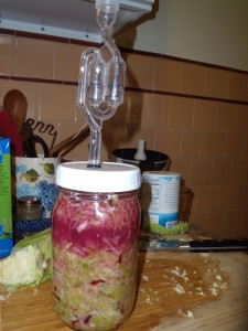 Here's to colorful, spicy kraut!